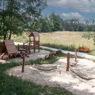 Der Wald ruft uns – Lars Laj